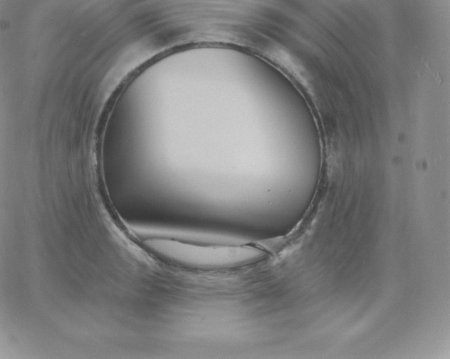 X0000060741133200511241631