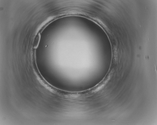 X0000060741134200511241631