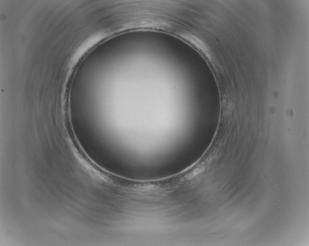 X0000060741135200511241631