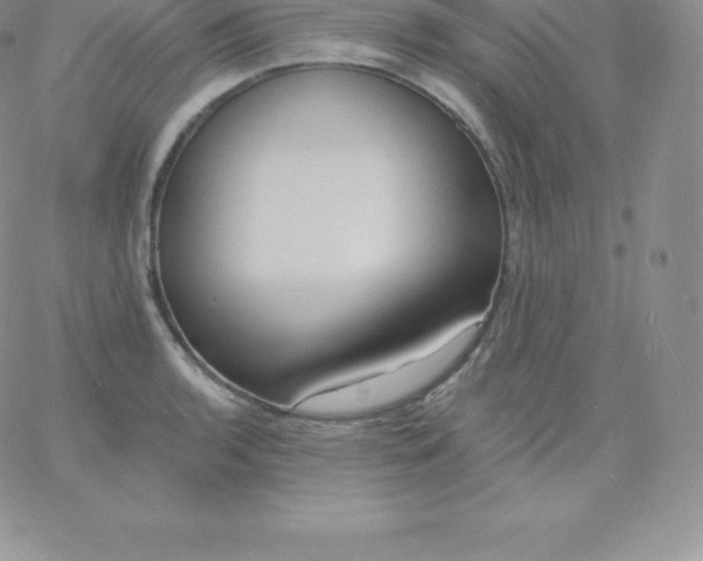 X0000060741136200511241631