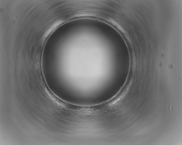 X0000060741137200511241631