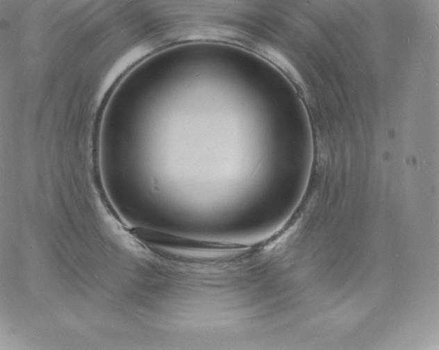 X0000060741138200511241631