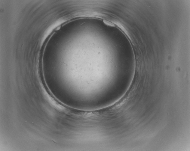 X0000060741139200511241631