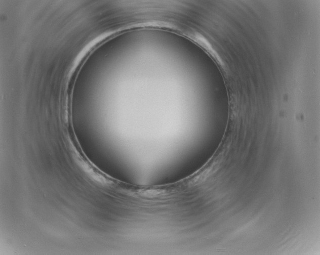 X0000060741140200511241631