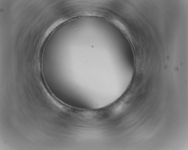 X0000060741141200511241631