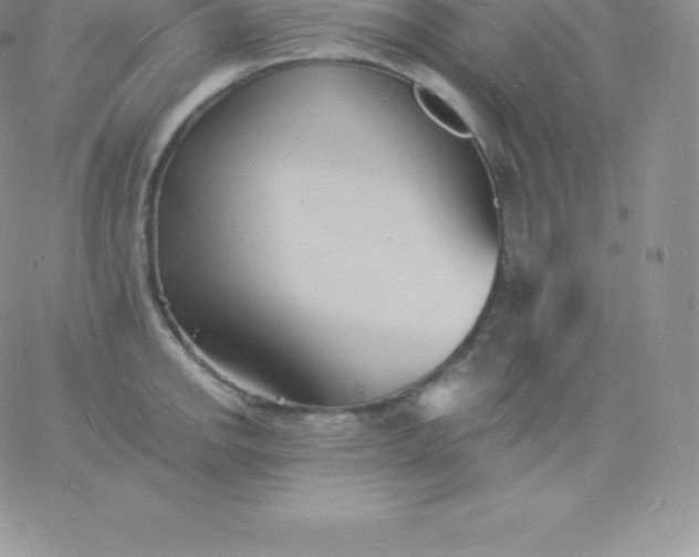 X0000060741142200511241631