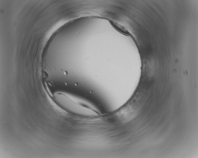 X0000060741143200511241631