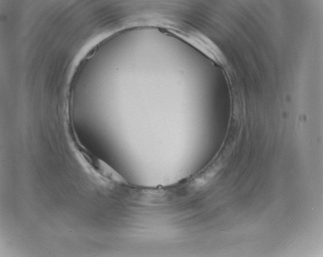 X0000060741144200511241631