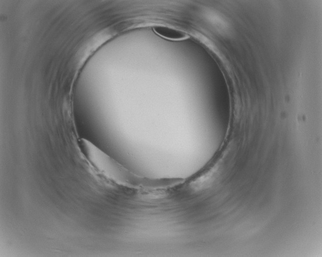 X0000060741145200511241631