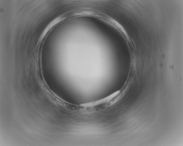 X0000060741146200511241631