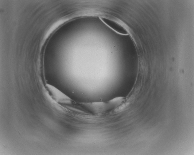 X0000060741147200511241631