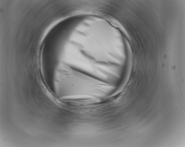 X0000060741148200511241631