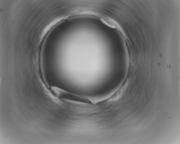 X0000060741149200511241631