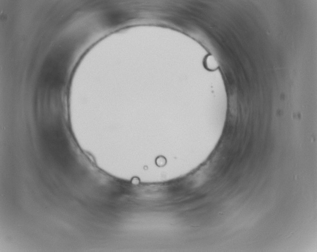 X0000060741150200511241632