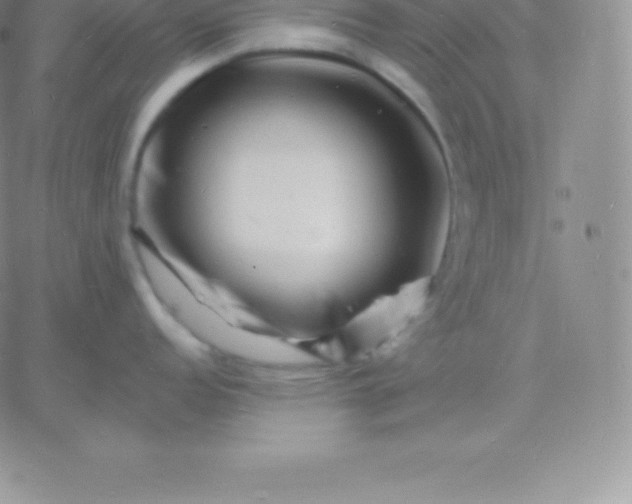 X0000060741152200511241632