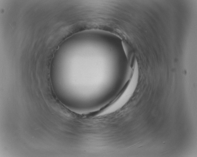 X0000060741153200511241631