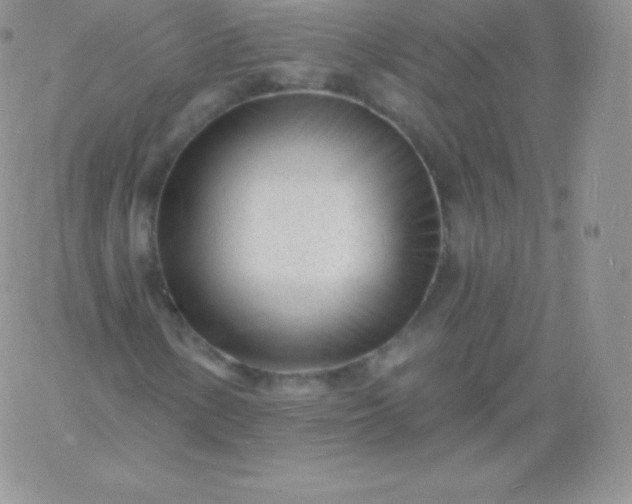 X0000060741154200511241631