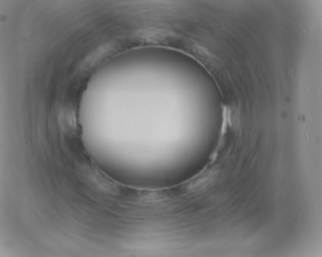 X0000060741155200511241631