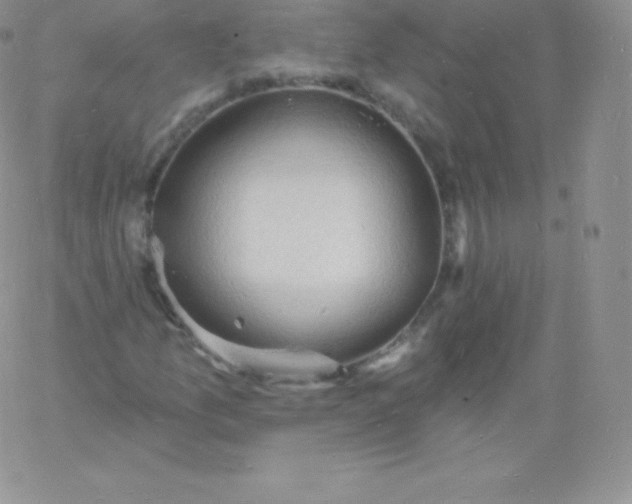 X0000060741157200511241631