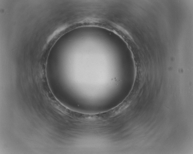 X0000060741160200511241631