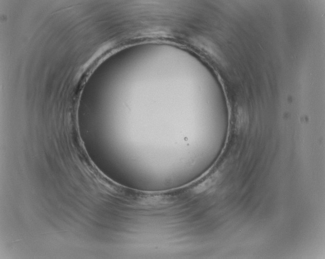 X0000060741162200511241631