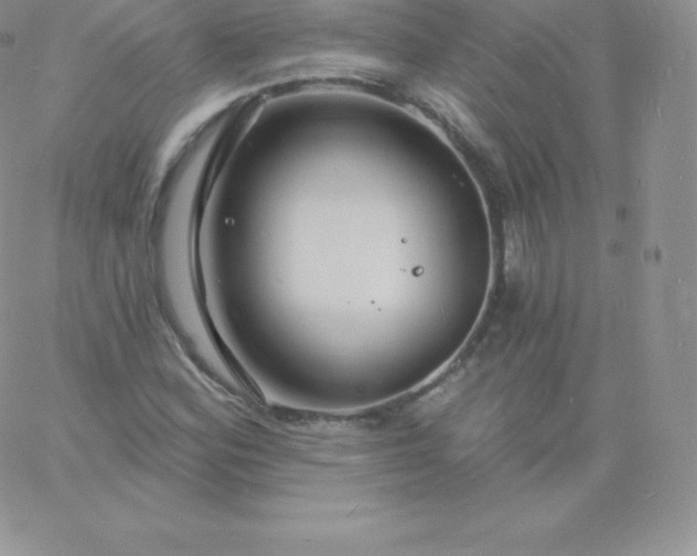 X0000060741164200511241631