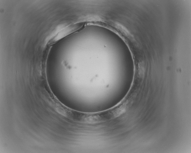 X0000060741165200511241631