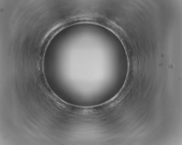 X0000060741166200511241631