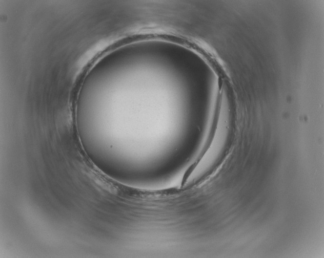 X0000060741167200511241631