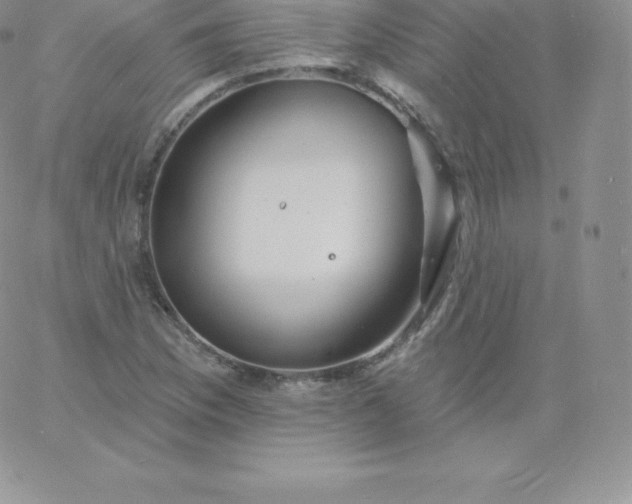 X0000060741169200511241630