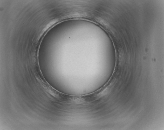 X0000060741170200511241630