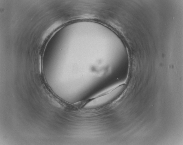 X0000060741171200511241630