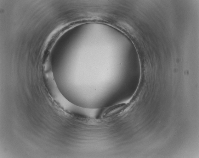 X0000060741172200511241630