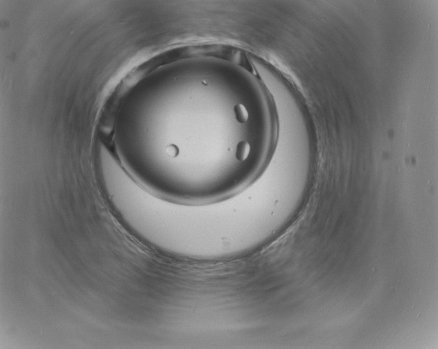 X0000060741173200511241630