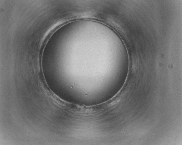 X0000060741174200511241630