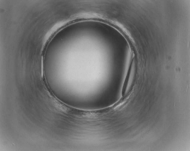 X0000060741175200511241630