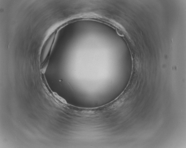 X0000060741176200511241630