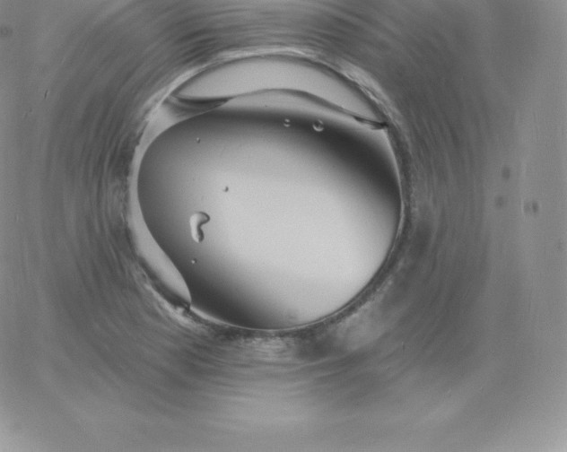 X0000060741177200511241630