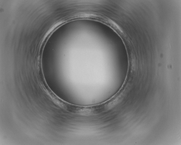 X0000060741178200511241630