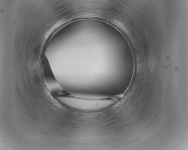 X0000060741181200511241630