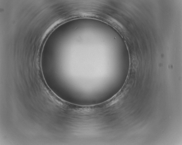 X0000060741182200511241630