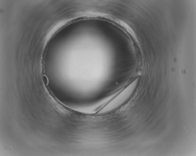 X0000060741183200511241630