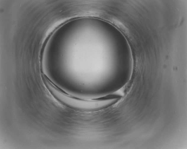 X0000060741184200511241630