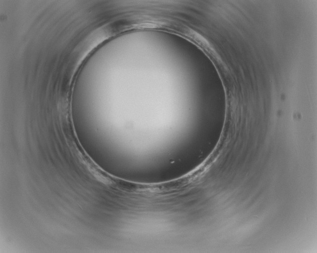 X0000060741186200511241630