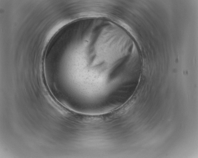 X0000060741187200511241630