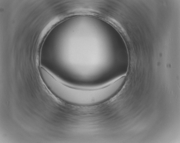 X0000060741188200511241630