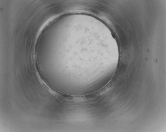 X0000060741191200511241630