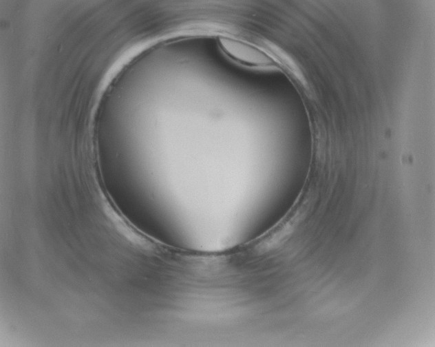 X0000060741192200511241630