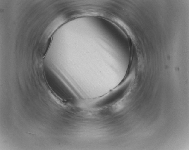 X0000060741193200511241630