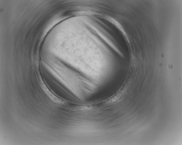 X0000060741195200511241630